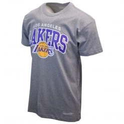 Spotted Clothing Mitchell & Ness Men's Grey Los Angeles Lakers Logo S/S T-Shirt