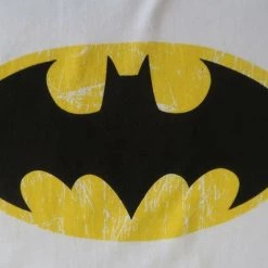 DC Comics Boy's Batman Flag T Shirt