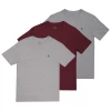 Polo Ralph Lauren Kids 3 Pack Crewneck S/S T-Shirts (S08)