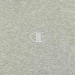 Mens Champion Men's Heather Grey Big & Tall L/S Full Zip Hoodie (Size 3XL)