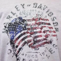 Harley-Davidson Men's American Flag S/S Tee (Retail $60)