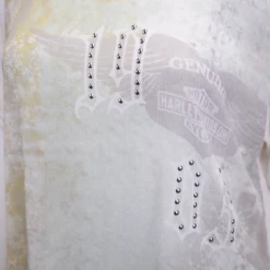 Harley-Davidson Women's Cream Pastel Green Sheer Round Neck S/S T-Shirt (S03)