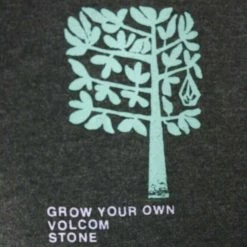 Volcom Men's Black Heather Grown HTH S/S T-Shirts (S16)