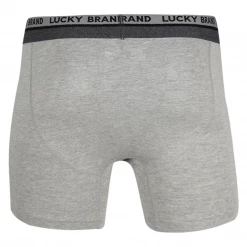 Mens Lucky Brand Men's Grey, Blue, Black & Clover Pattern 4 Pack Boxer Briefs (S04)
