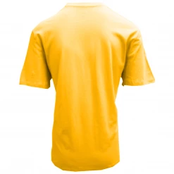 Volcom Men's Gold Pistol Blanks BXY S/S T-Shirt (S18)