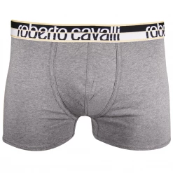 Roberto Cavalli Men's 2 Pack Grey Stretch Boxer Briefs
