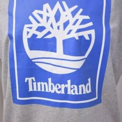 Timberland Men's Grey & Blue Box Logo S/S Tee S01 (Size Small)