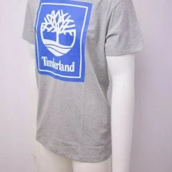 Timberland Men's Grey & Blue Box Logo S/S Tee S01 (Size Small)